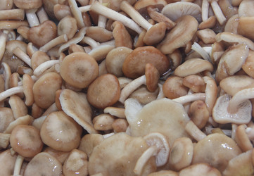 Similar image 21683550