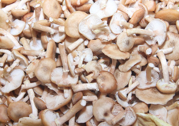 Similar image 21683344