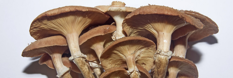 Similar image 21683346