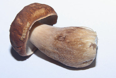 Similar image 21683347