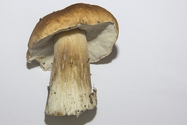 Similar image 21683349