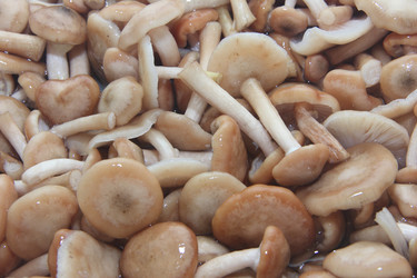 Similar image 21683350