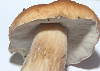 Similar image 21683351