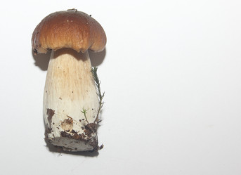 Similar image 21683352