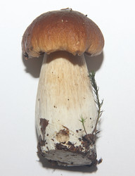 Similar image 21683353