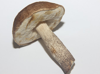 Similar image 21683356