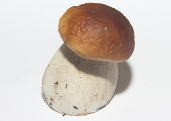 Similar image 21683358