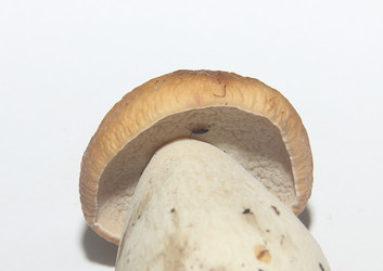 Similar image 21683359