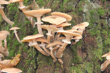 Similar image 21683360