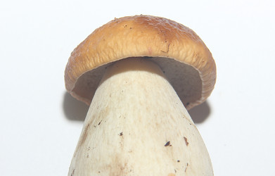 Similar image 21683361