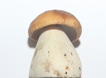 Similar image 21683362