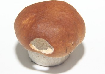 Similar image 21683363