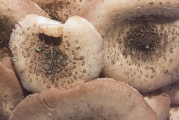 Similar image 21683364