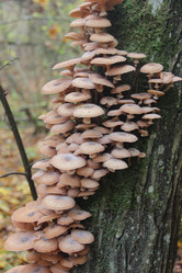 Similar image 21683366