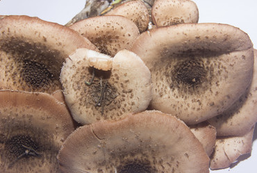 Similar image 21683367