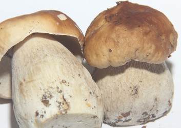 Similar image 21683368