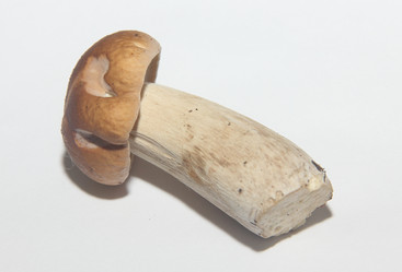 Similar image 21683369