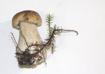 Similar image 21683506