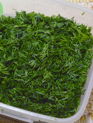 Similar image 21683510