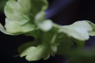 Similar image 21683371