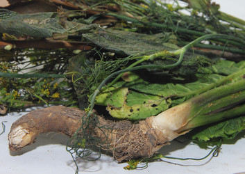 Similar image 21683372