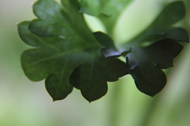 Similar image 21683373