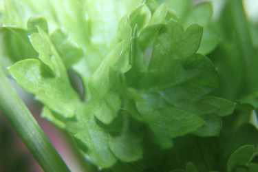 Similar image 21683375