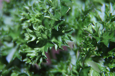 Similar image 21683376