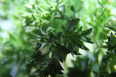 Similar image 21683378