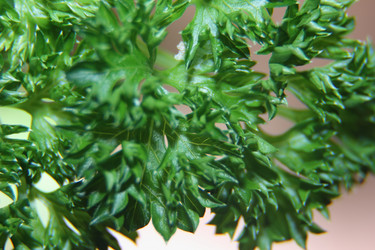 Similar image 21683380