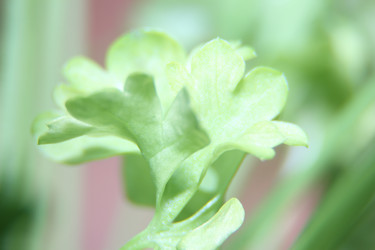 Similar image 21683381