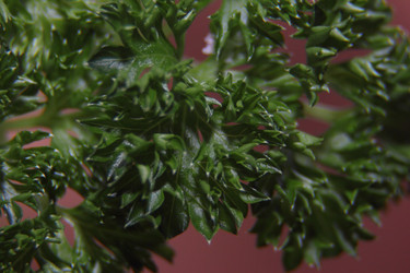 Similar image 21683382