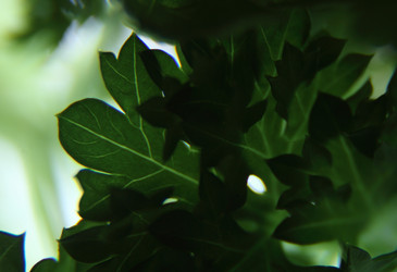 Similar image 21683384