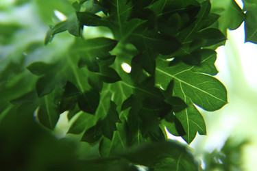 Similar image 21683385