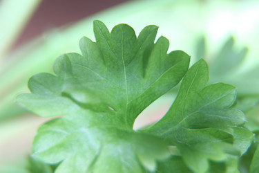 Similar image 21683387