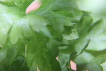 Similar image 21683388