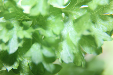 Similar image 21683390