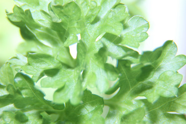 Similar image 21683391