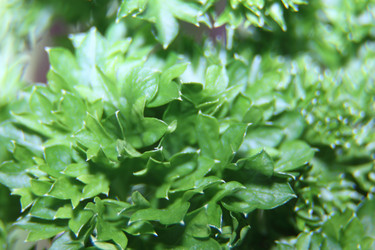 Similar image 21683393