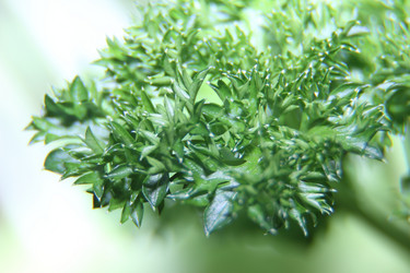 Similar image 21683394