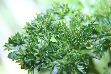 Similar image 21683395