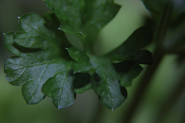 Similar image 21683396