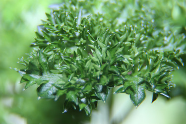 Similar image 21683397