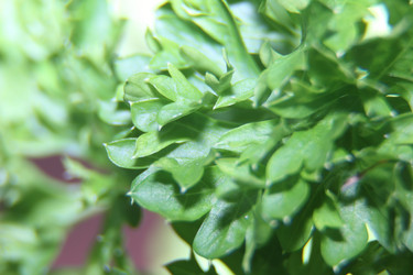 Similar image 21683398