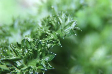 Similar image 21683399