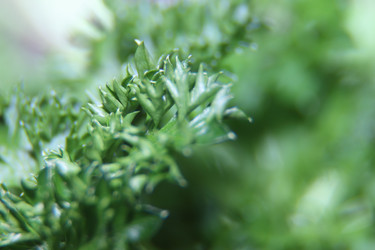 Similar image 21683511