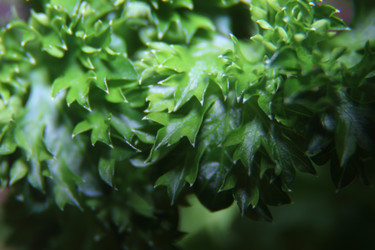 Similar image 21683513