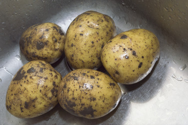 Similar image 21683514