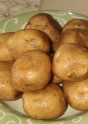 Similar image 21683516