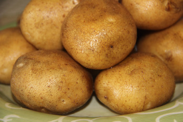 Similar image 21683517